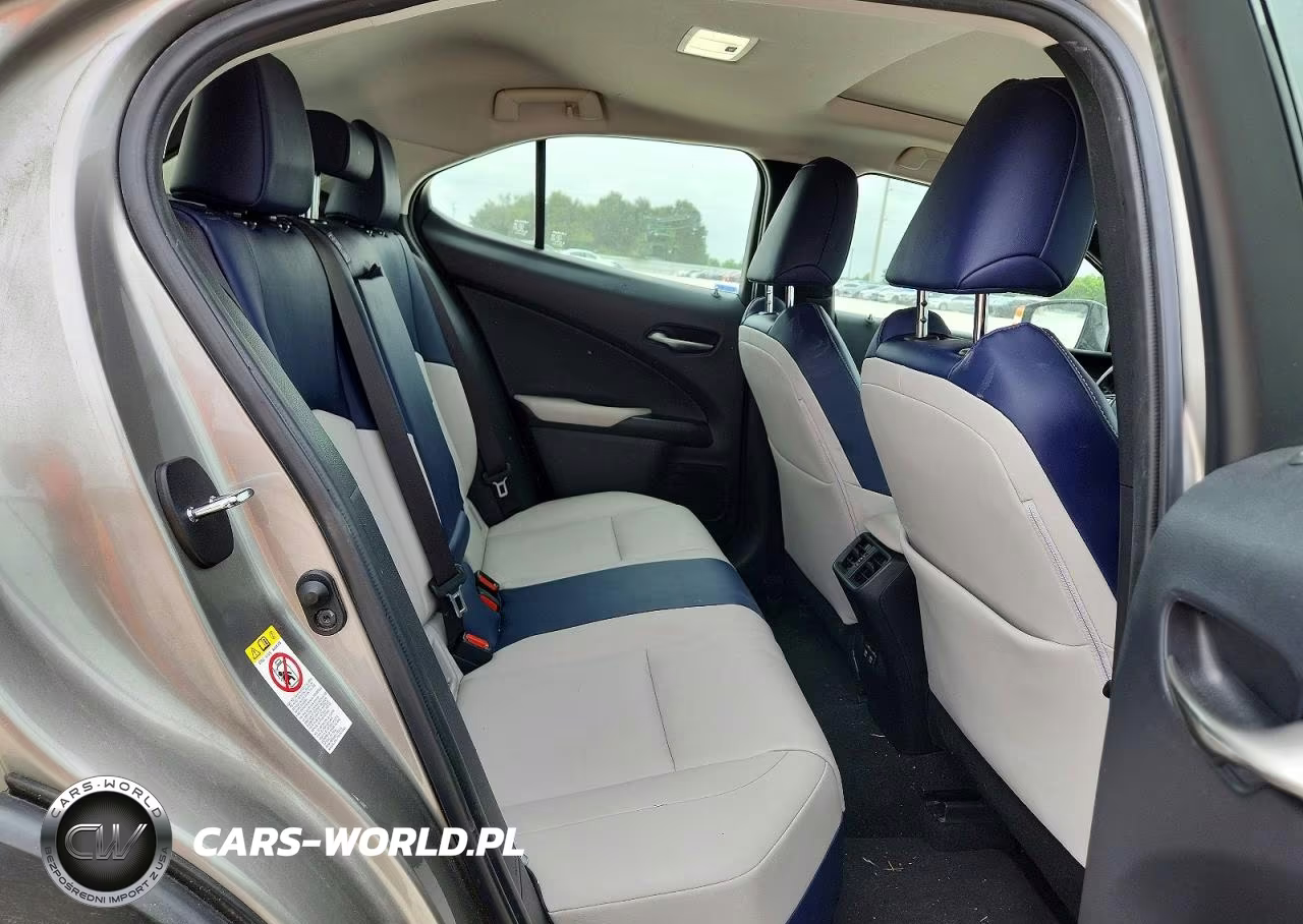 2019 Lexus Ux 200 VIN:JTHY3JBH3K2016900 - 10