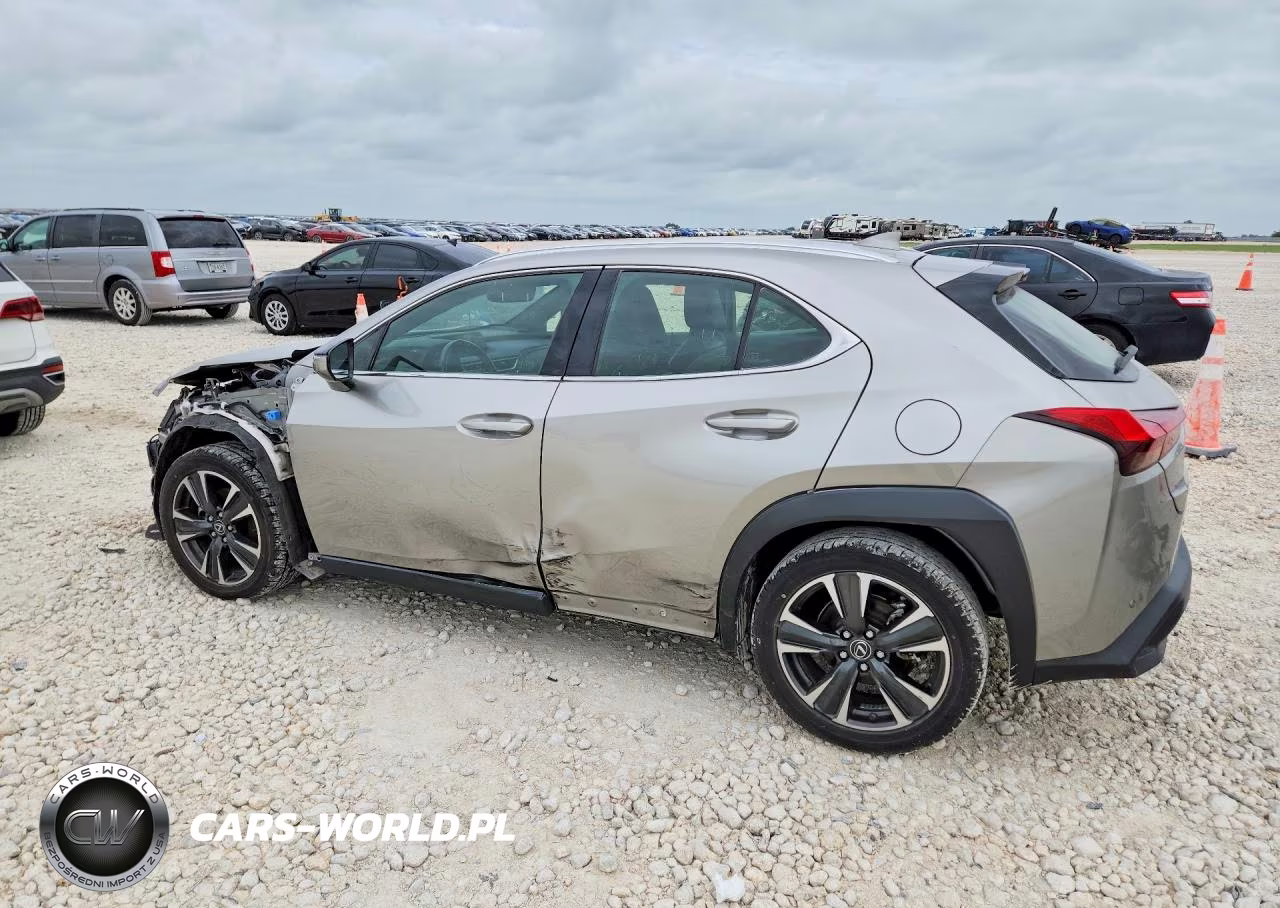 2019 Lexus Ux 200 VIN:JTHY3JBH3K2016900 - 2