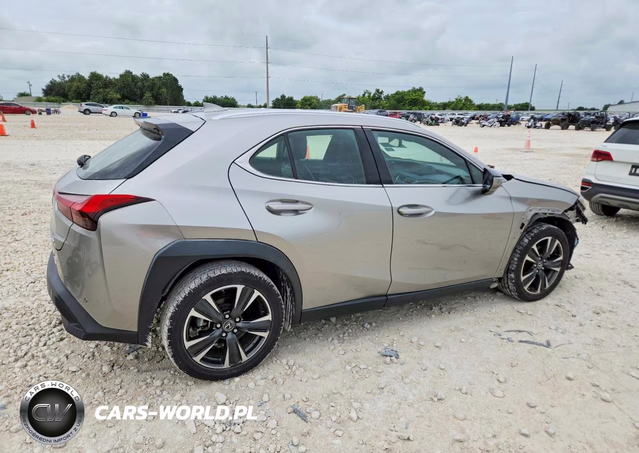2019 Lexus Ux 200 VIN:JTHY3JBH3K2016900 - 3