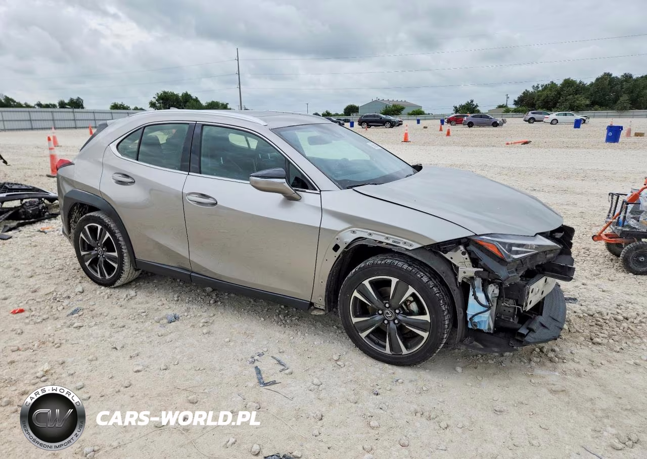 2019 Lexus Ux 200 VIN:JTHY3JBH3K2016900 - 4