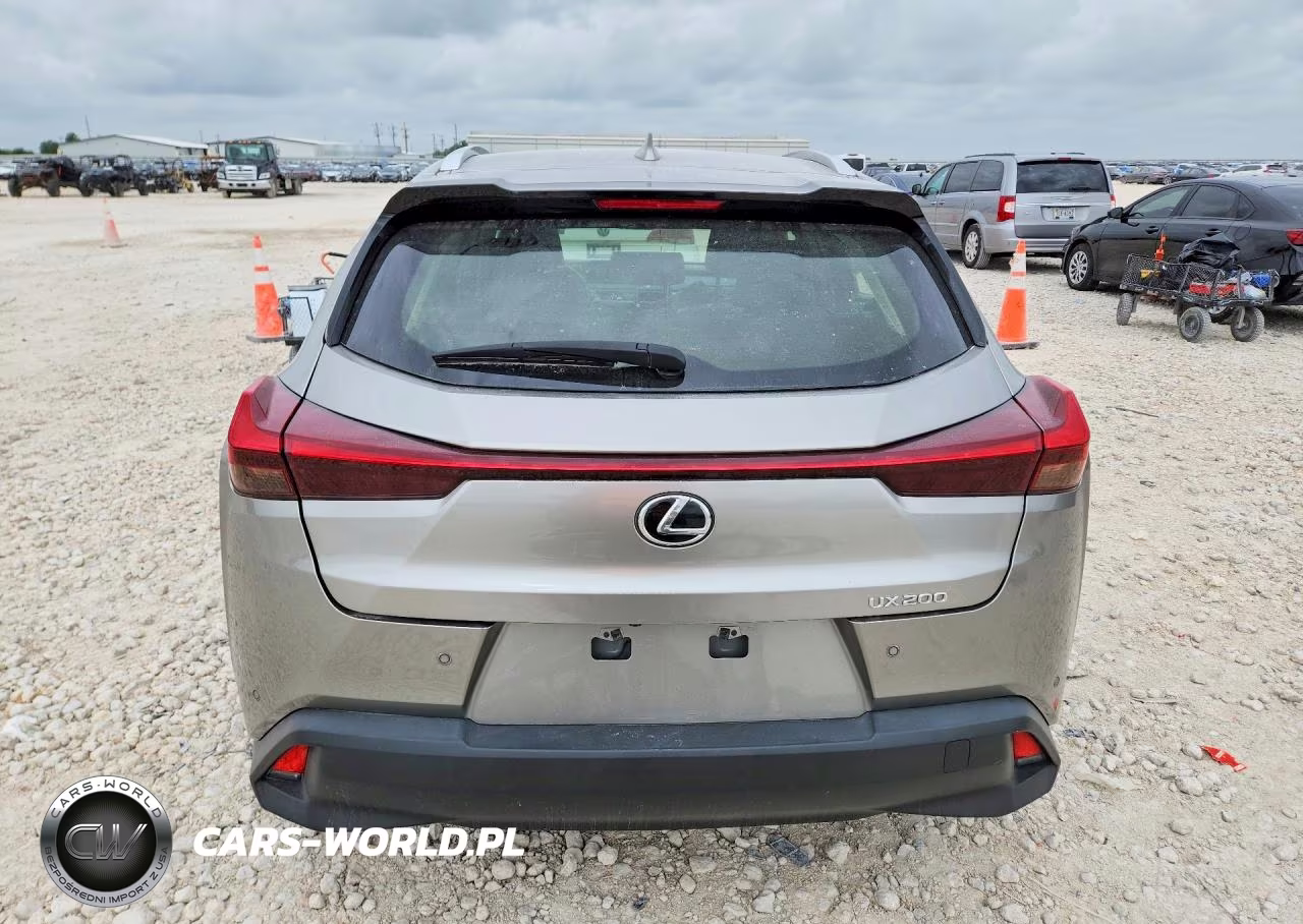 2019 Lexus Ux 200 VIN:JTHY3JBH3K2016900 - 6