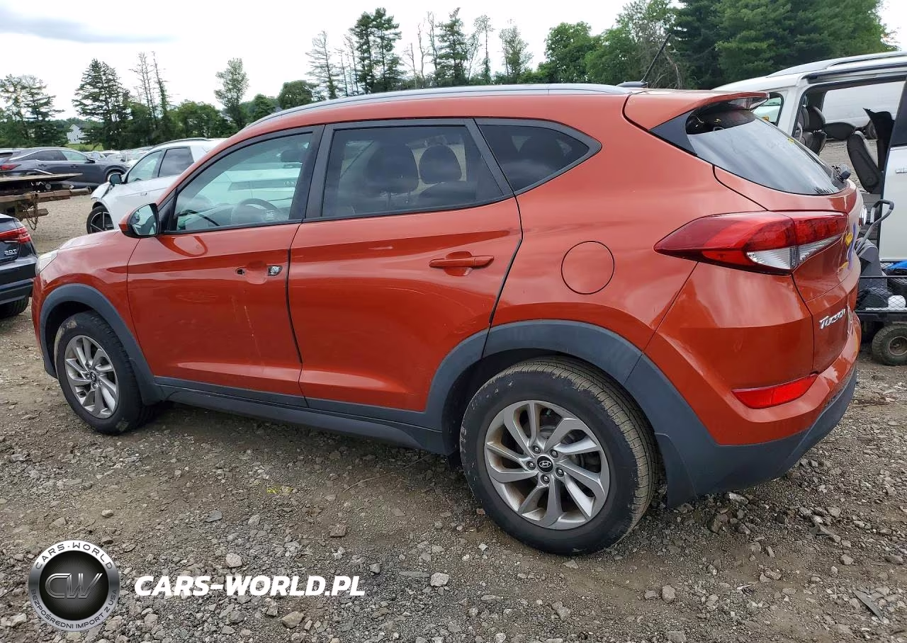 2016 Hyundai Tucson Se VIN:KM8J3CA48GU213307 - 2