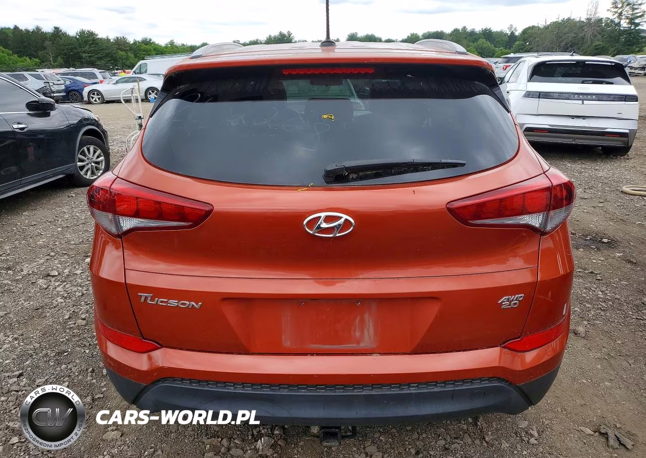 2016 Hyundai Tucson Se VIN:KM8J3CA48GU213307 - 6