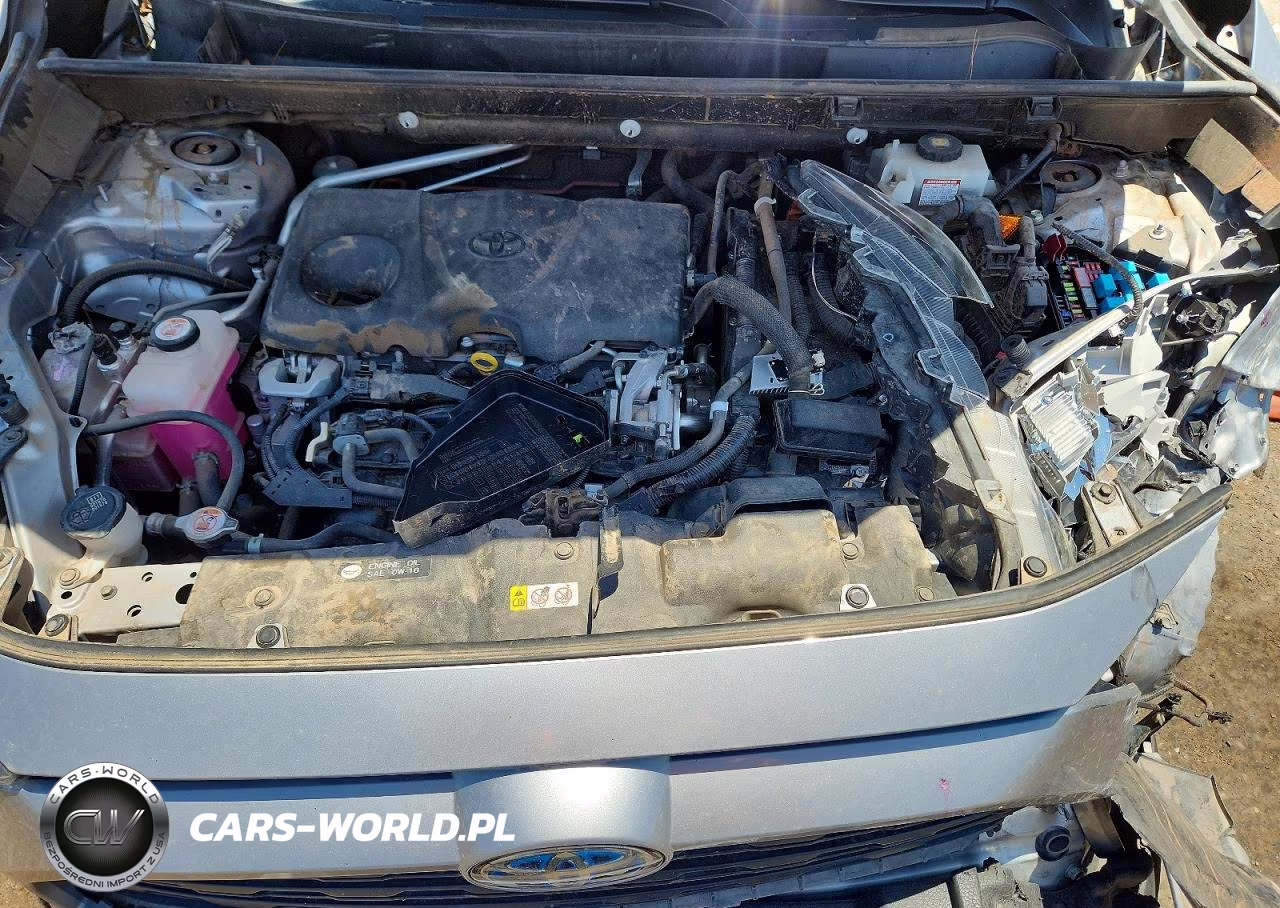 2019 Toyota Rav4 Le VIN:JTMLWRFV3KD012433 - 12