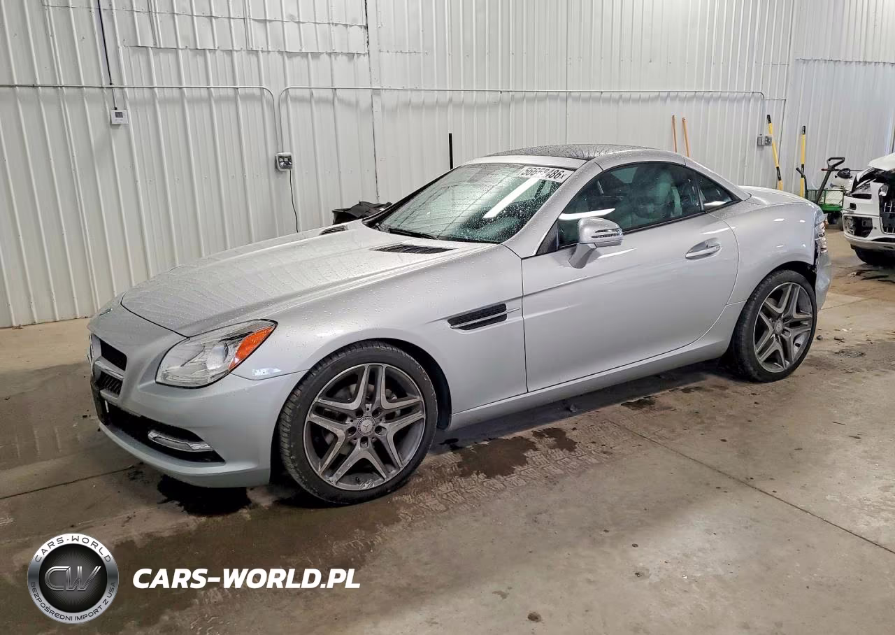 2014 Mercedes-Benz Slk 250
