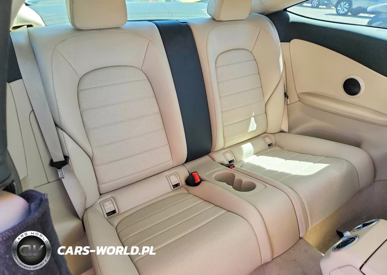 2017 Mercedes-Benz C 300 VIN:WDDWJ4JB6HF430421 - 10