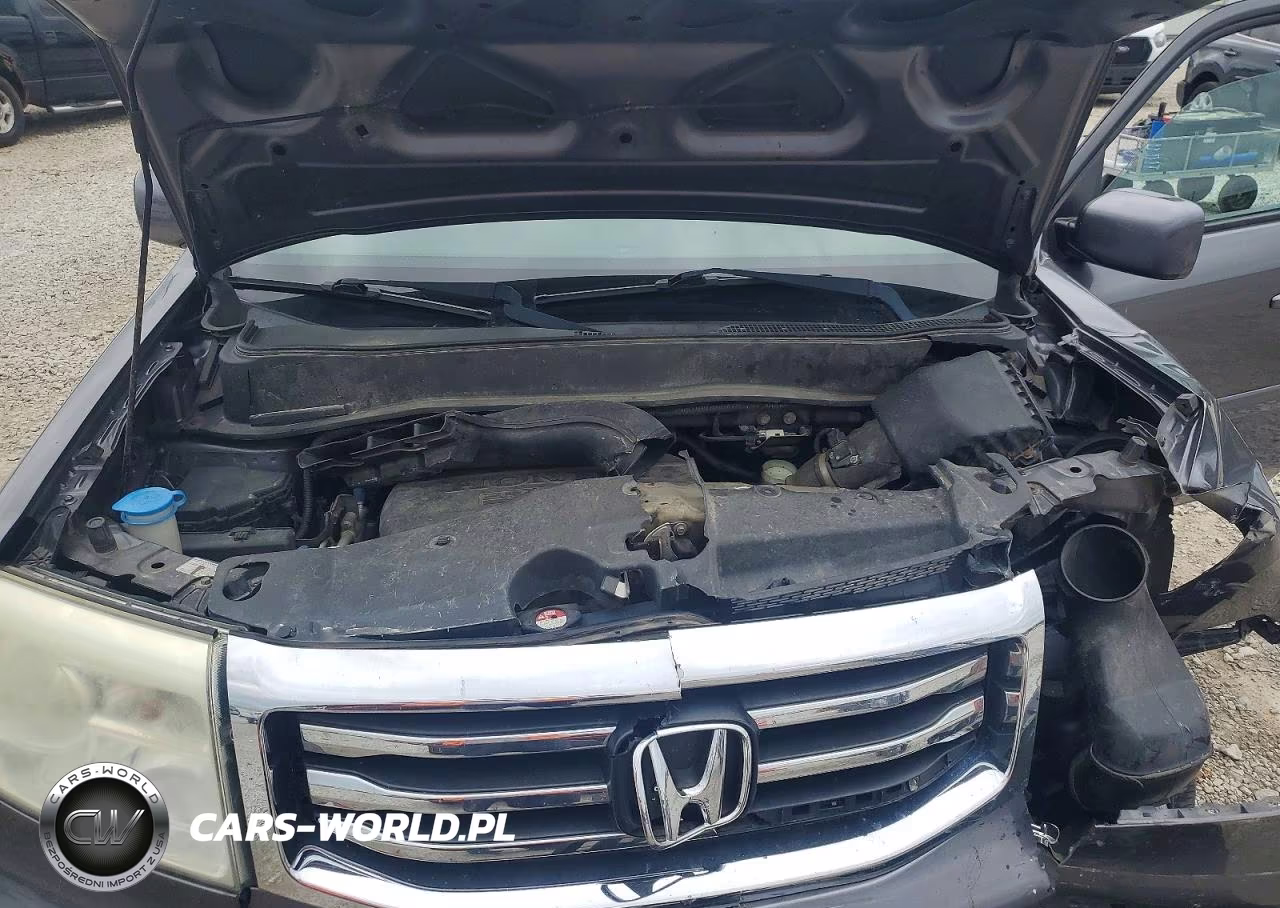 2014 Honda Pilot Exl VIN:5FNYF4H57EB054879 - 12