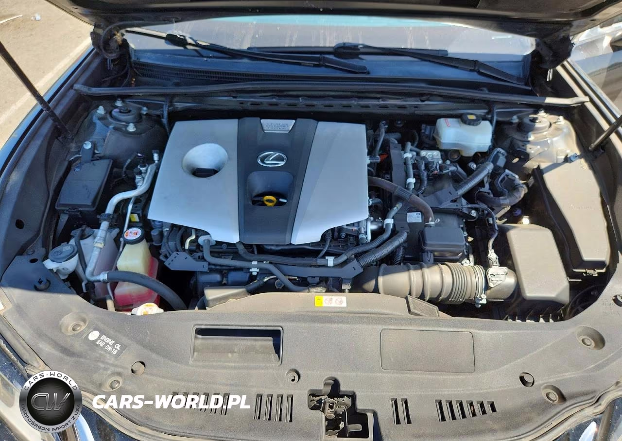 2019 Lexus Es 300H VIN:JTHB21B18K2004401 - 11