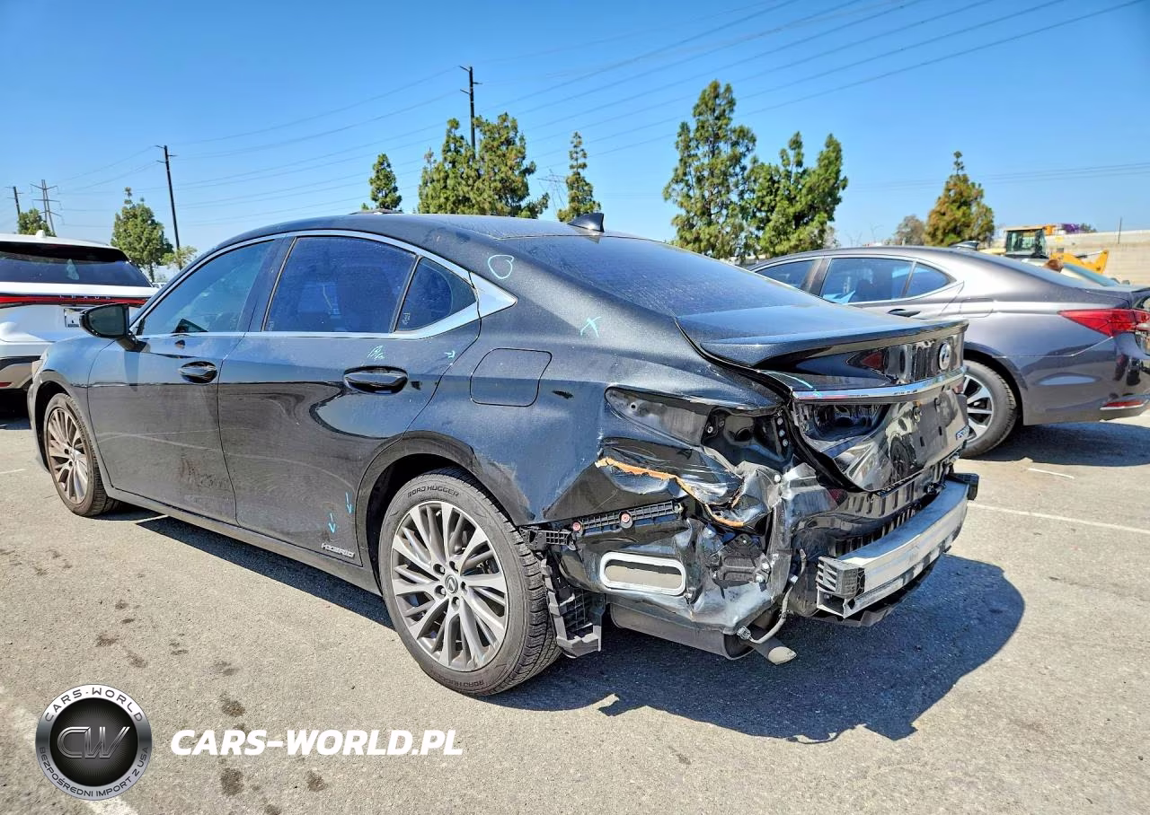 2019 Lexus Es 300H VIN:JTHB21B18K2004401 - 2