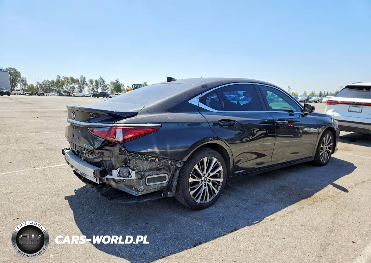 2019 Lexus Es 300H VIN:JTHB21B18K2004401 - 3