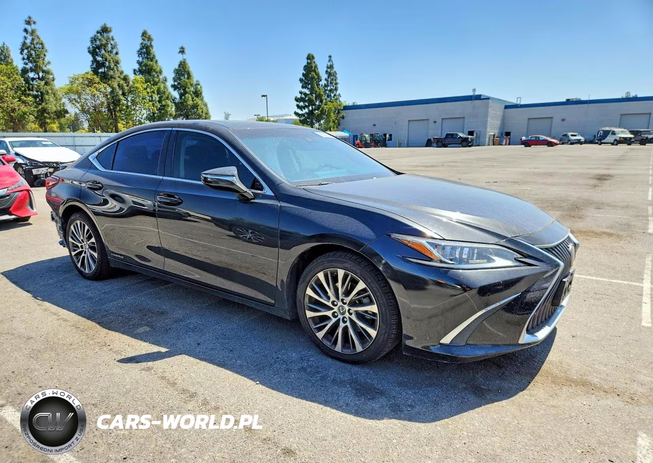 2019 Lexus Es 300H VIN:JTHB21B18K2004401 - 4