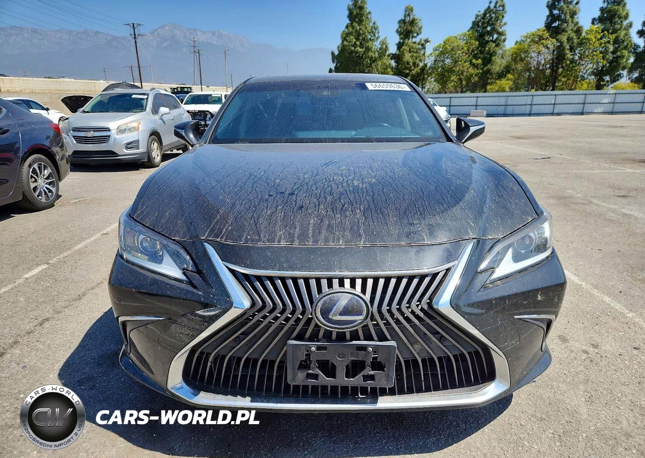 2019 Lexus Es 300H VIN:JTHB21B18K2004401 - 5