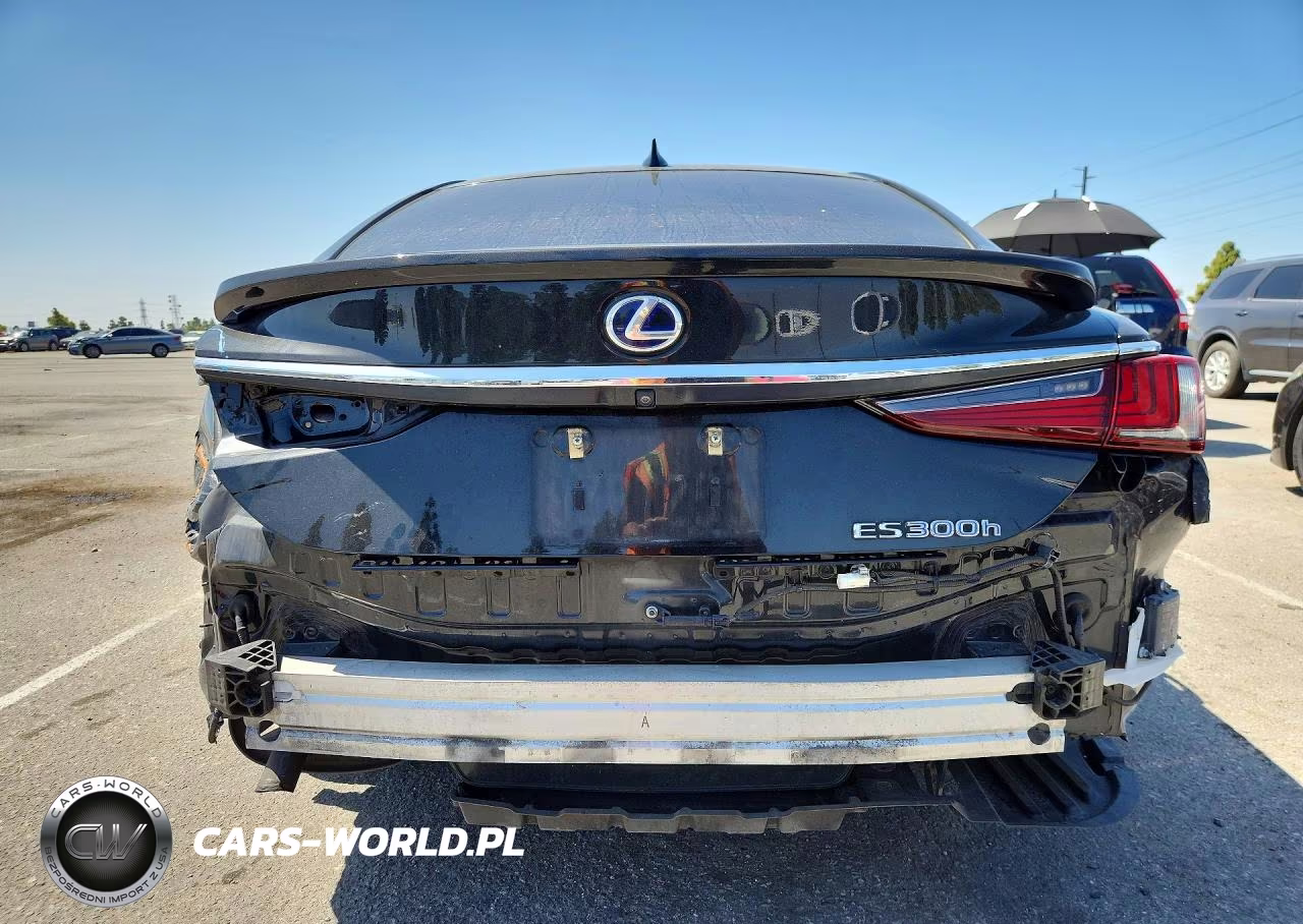 2019 Lexus Es 300H VIN:JTHB21B18K2004401 - 6