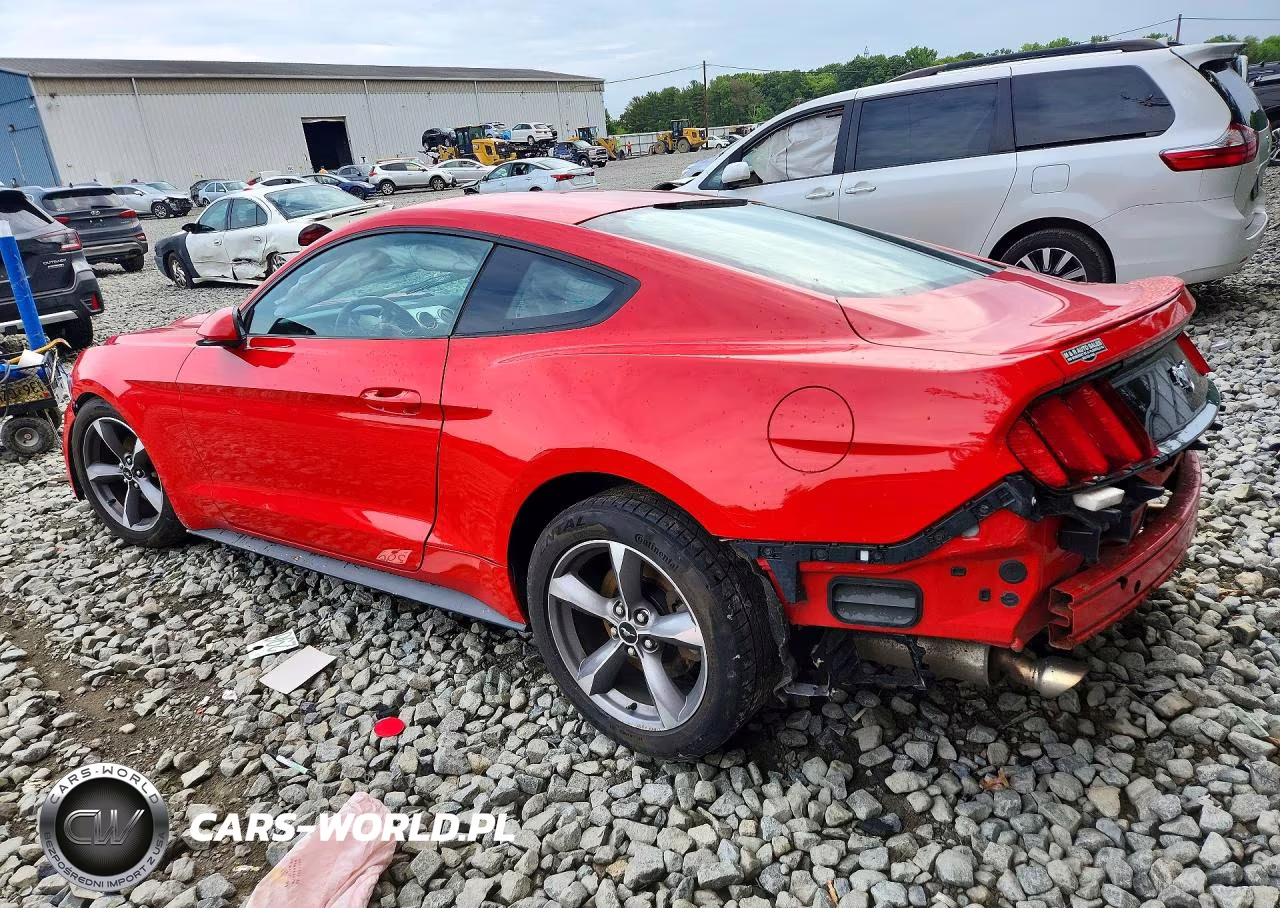 2017 Ford Mustang VIN:1FA6P8TH9H5304535 - 2