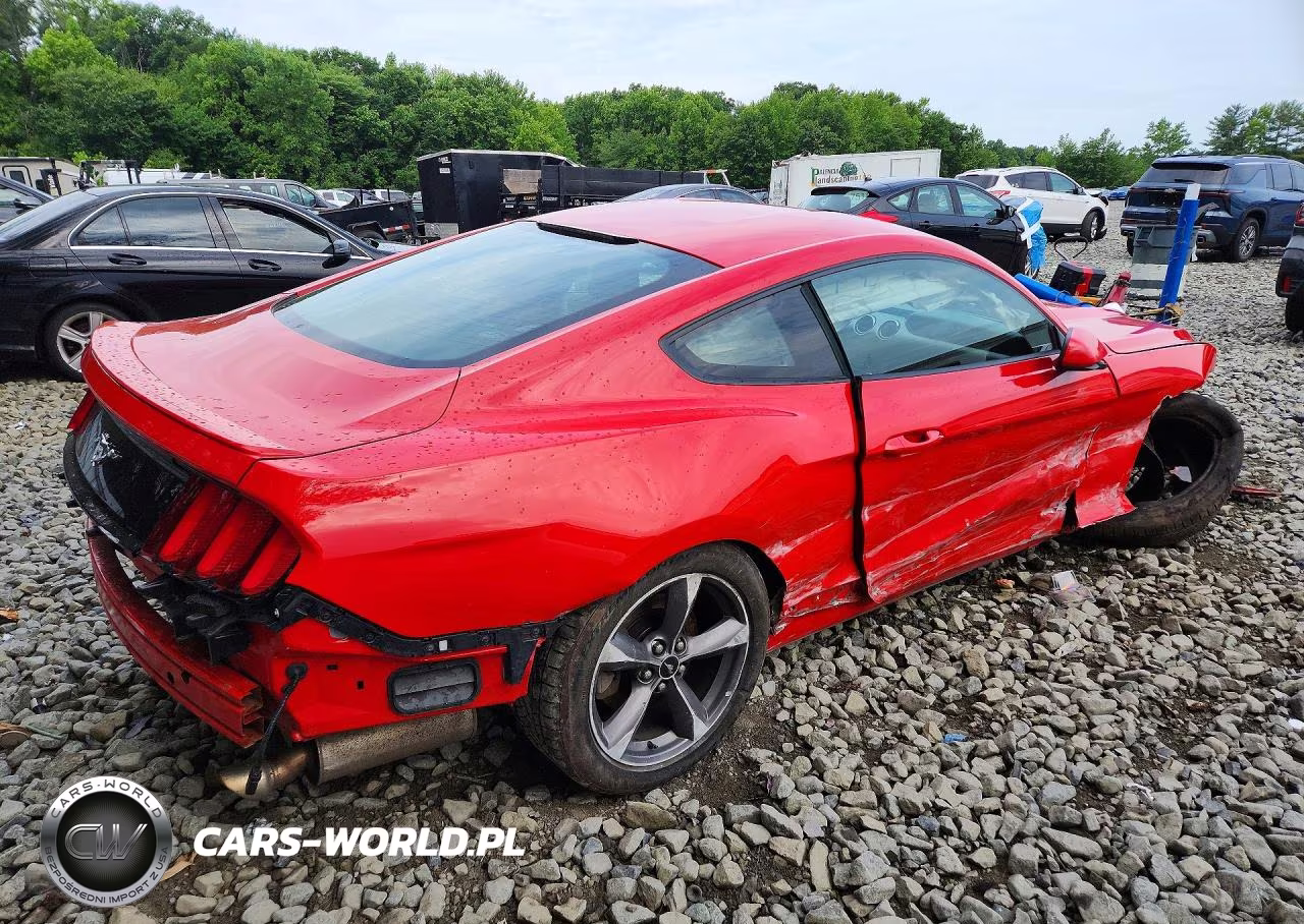 2017 Ford Mustang VIN:1FA6P8TH9H5304535 - 3