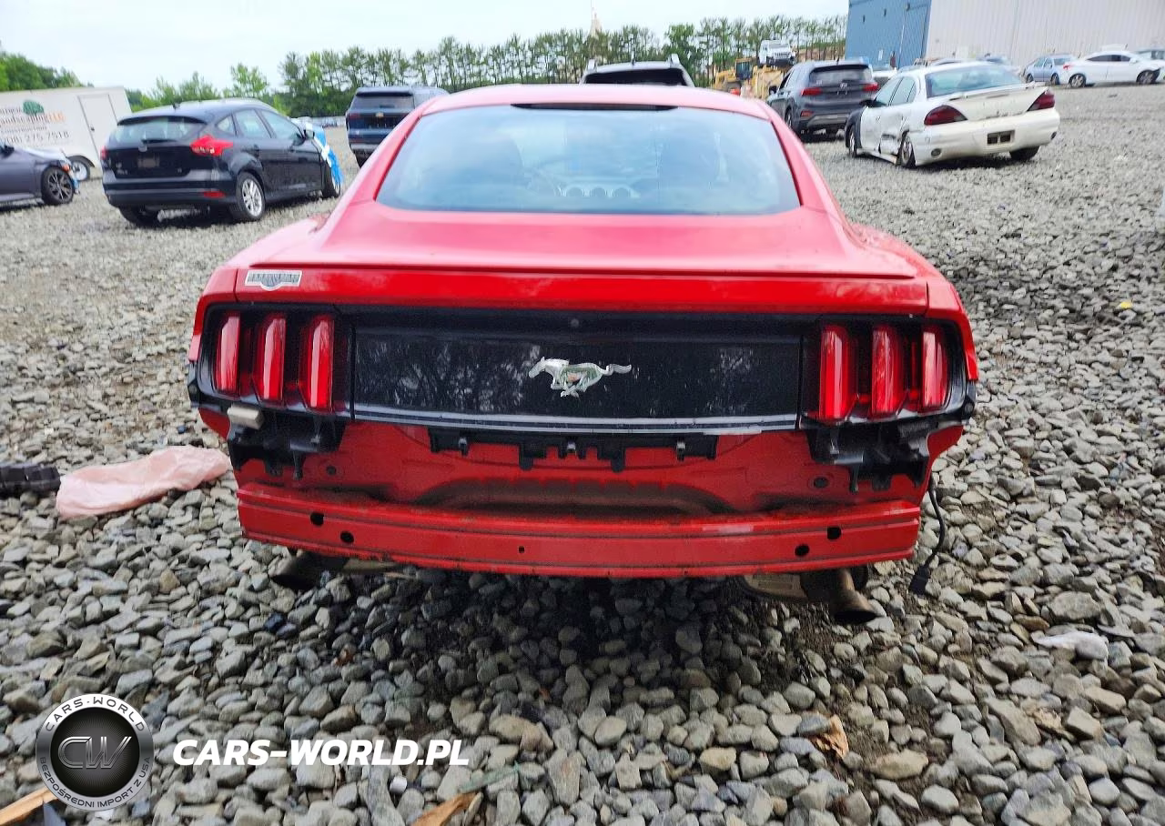 2017 Ford Mustang VIN:1FA6P8TH9H5304535 - 6
