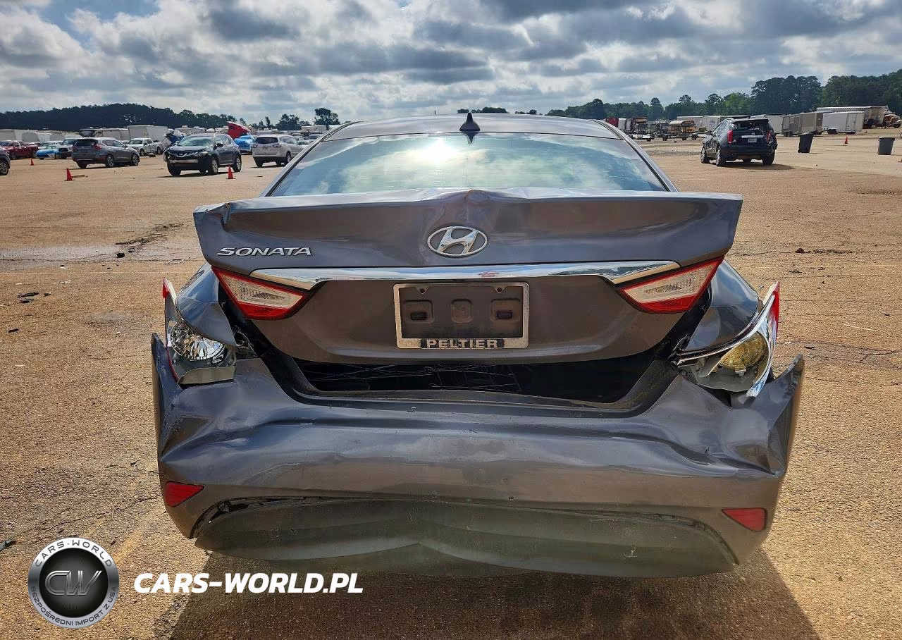 2014 Hyundai Sonata Gls VIN:5NPEB4AC4EH918909 - 6