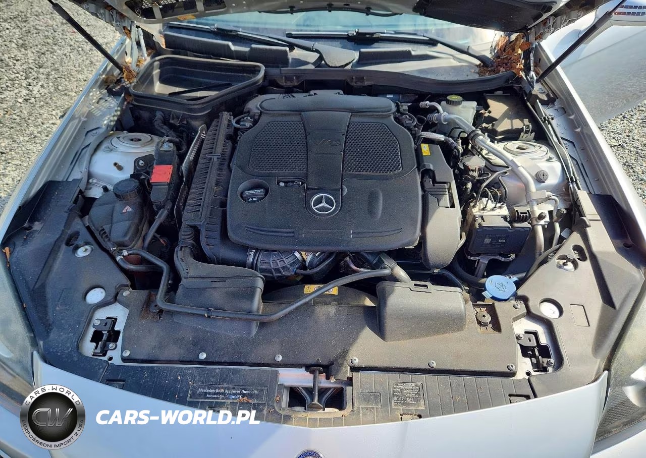 2015 Mercedes-Benz Slk 350 VIN:WDDPK5HA9FF106476 - 11