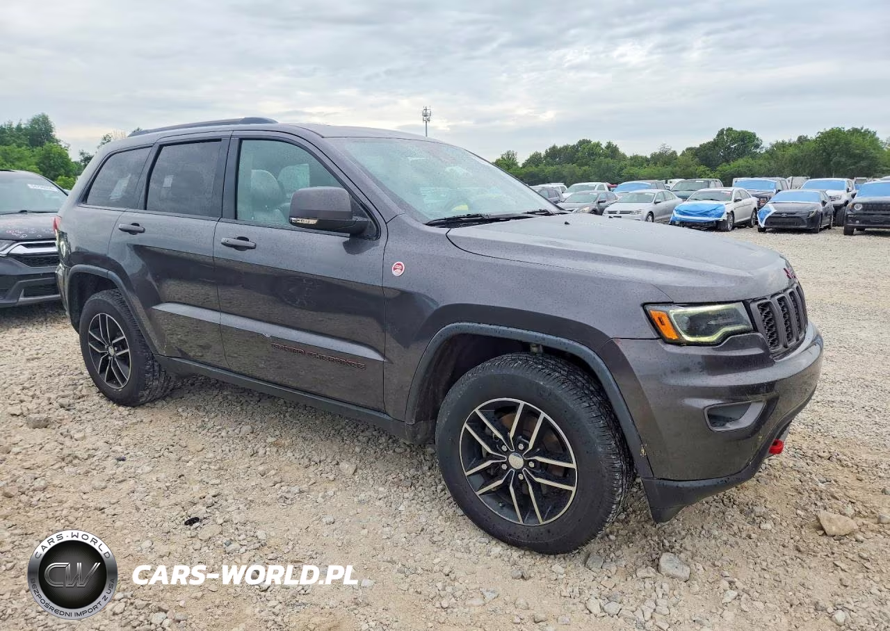 2017 Jeep Grand Cherokee Trailhawk VIN:1C4RJFLGXHC620154 - 4