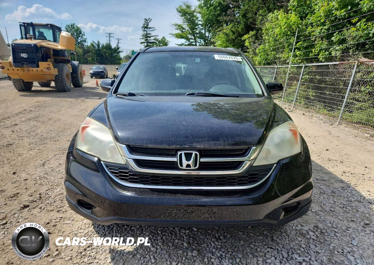2010 Hond Cr-V VIN:5J6RE4H79AL020937 - 5