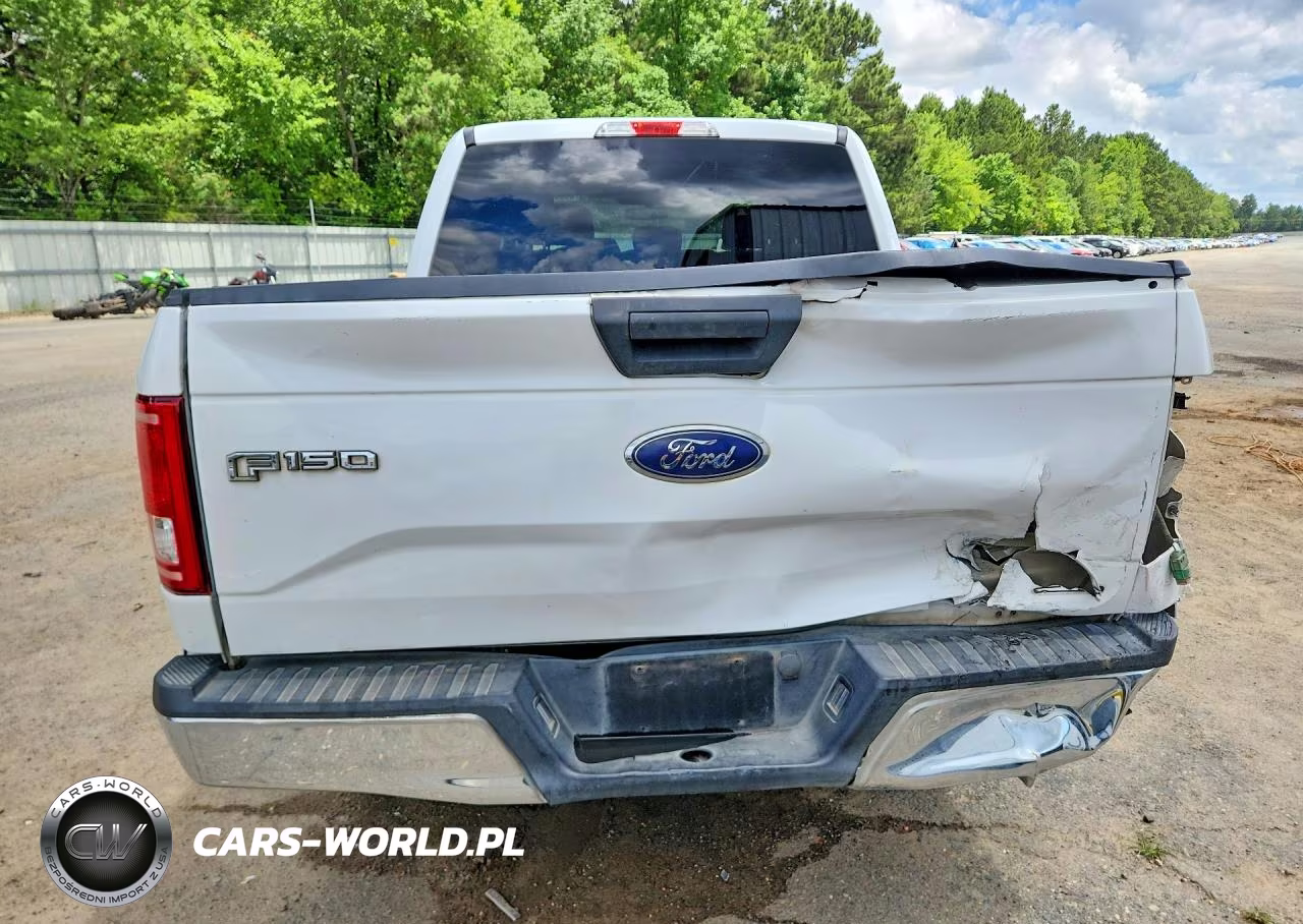 2016 Ford F150 Supercrew VIN:1FTEW1C89GFA15132 - 6