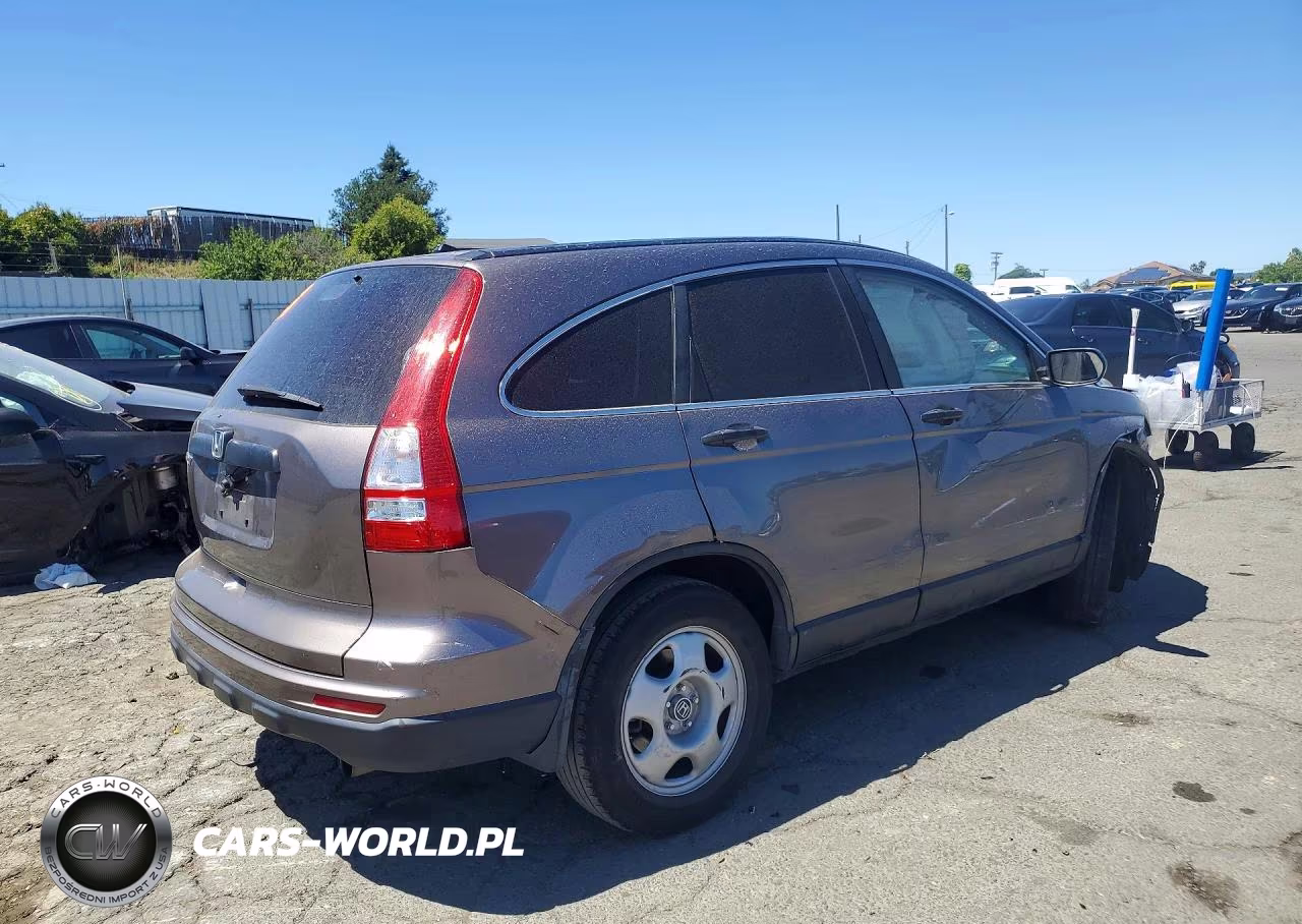 2010 Honda Cr-V Lx VIN:5J6RE3H37AL032561 - 3