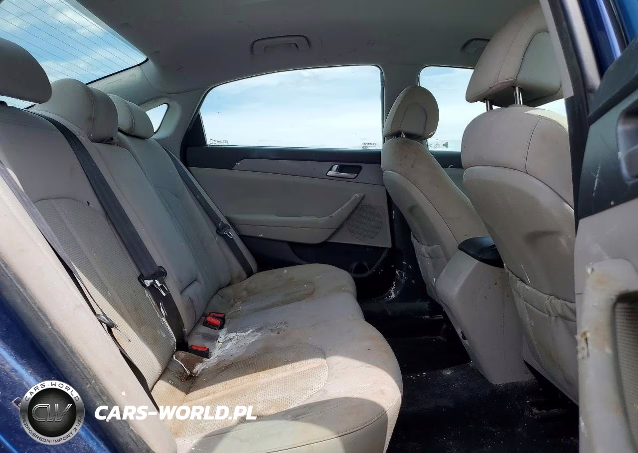 2016 Hyundai Sonata VIN:5NPE24AF4GH371203 - 10