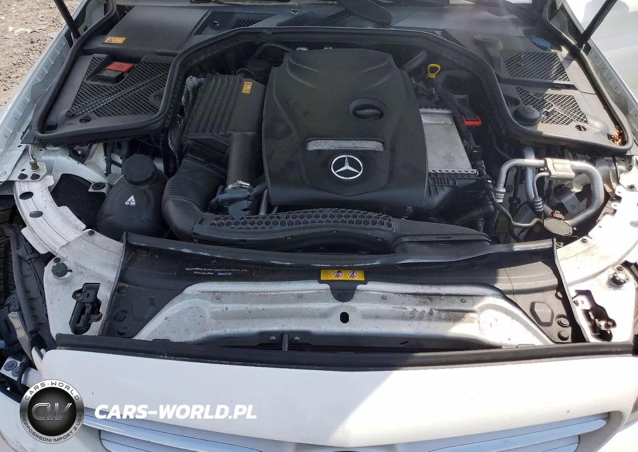 2015 Mercedes-Benz C 300 4Matic VIN:55SWF4KB8FU036901 - 11