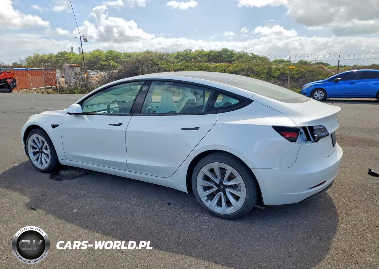 2023 Tesla Model 3 VIN:5YJ3E1EA6PF519586 - 2