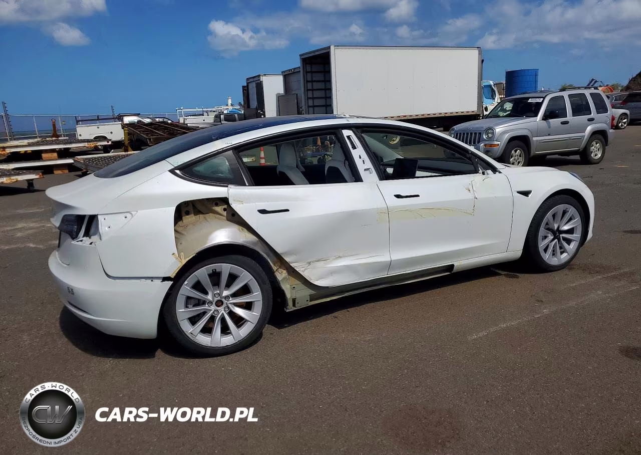 2023 Tesla Model 3 VIN:5YJ3E1EA6PF519586 - 3