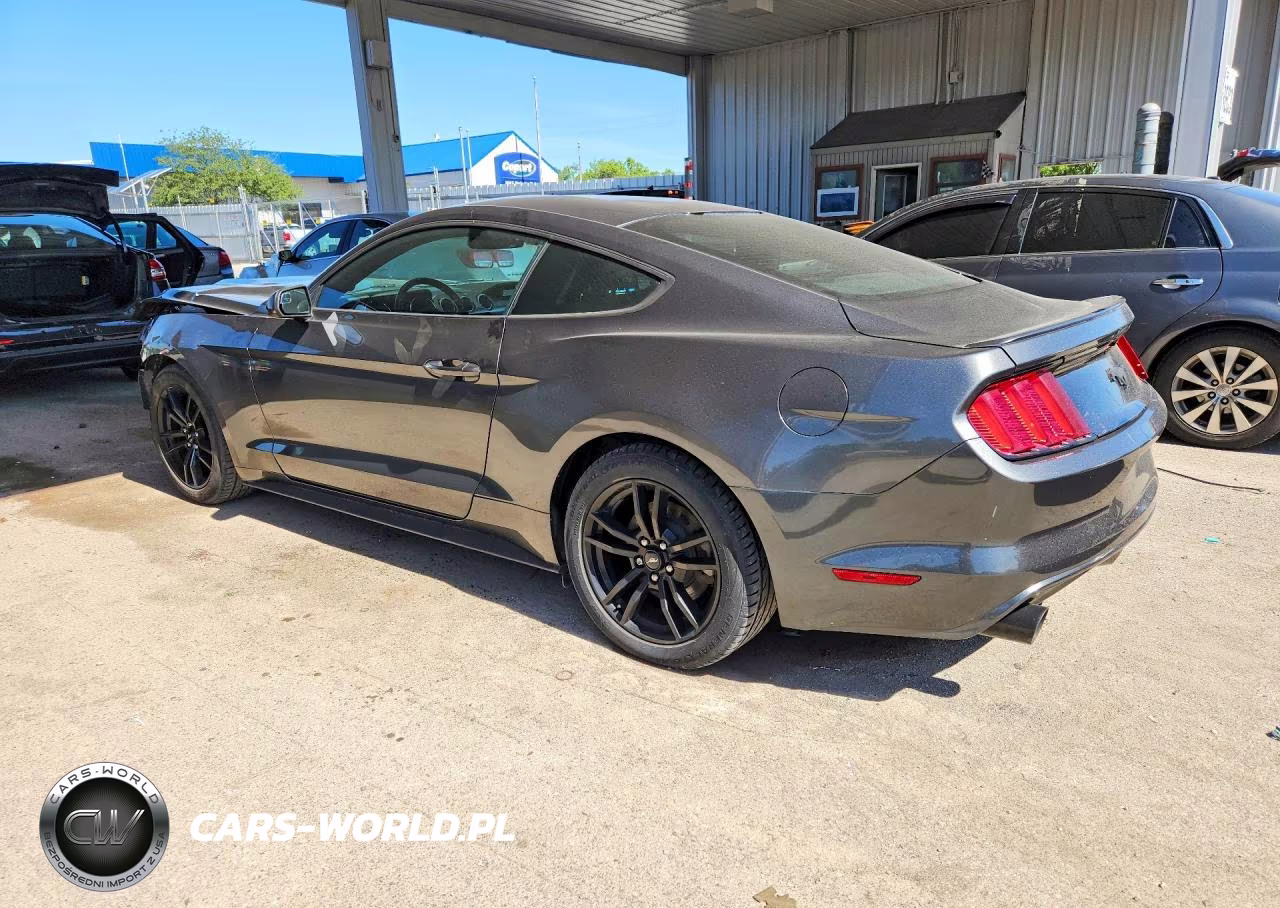 2017 Ford Mustang VIN:1FA6P8TH6H5202822 - 2