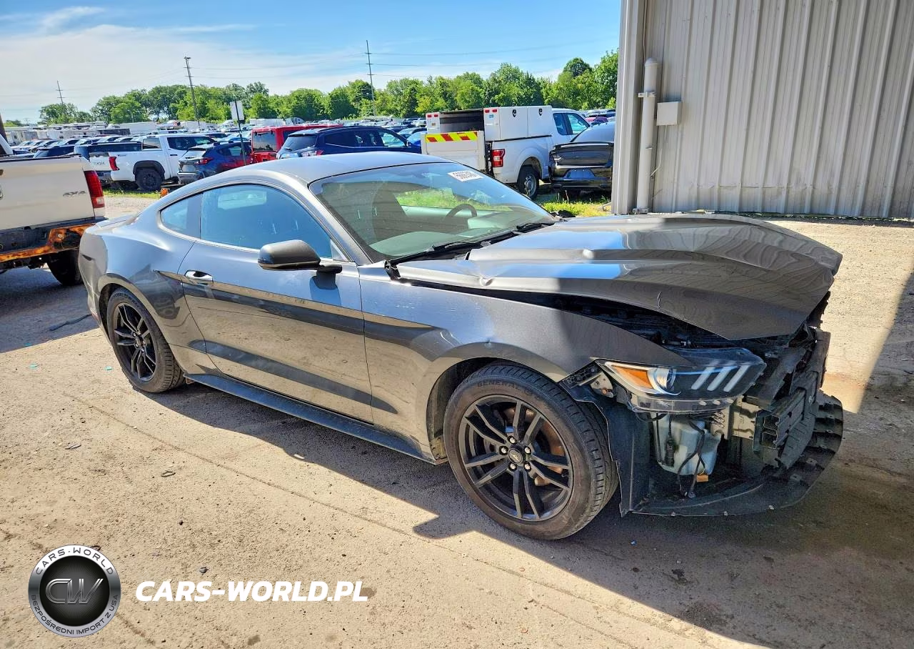 2017 Ford Mustang VIN:1FA6P8TH6H5202822 - 4