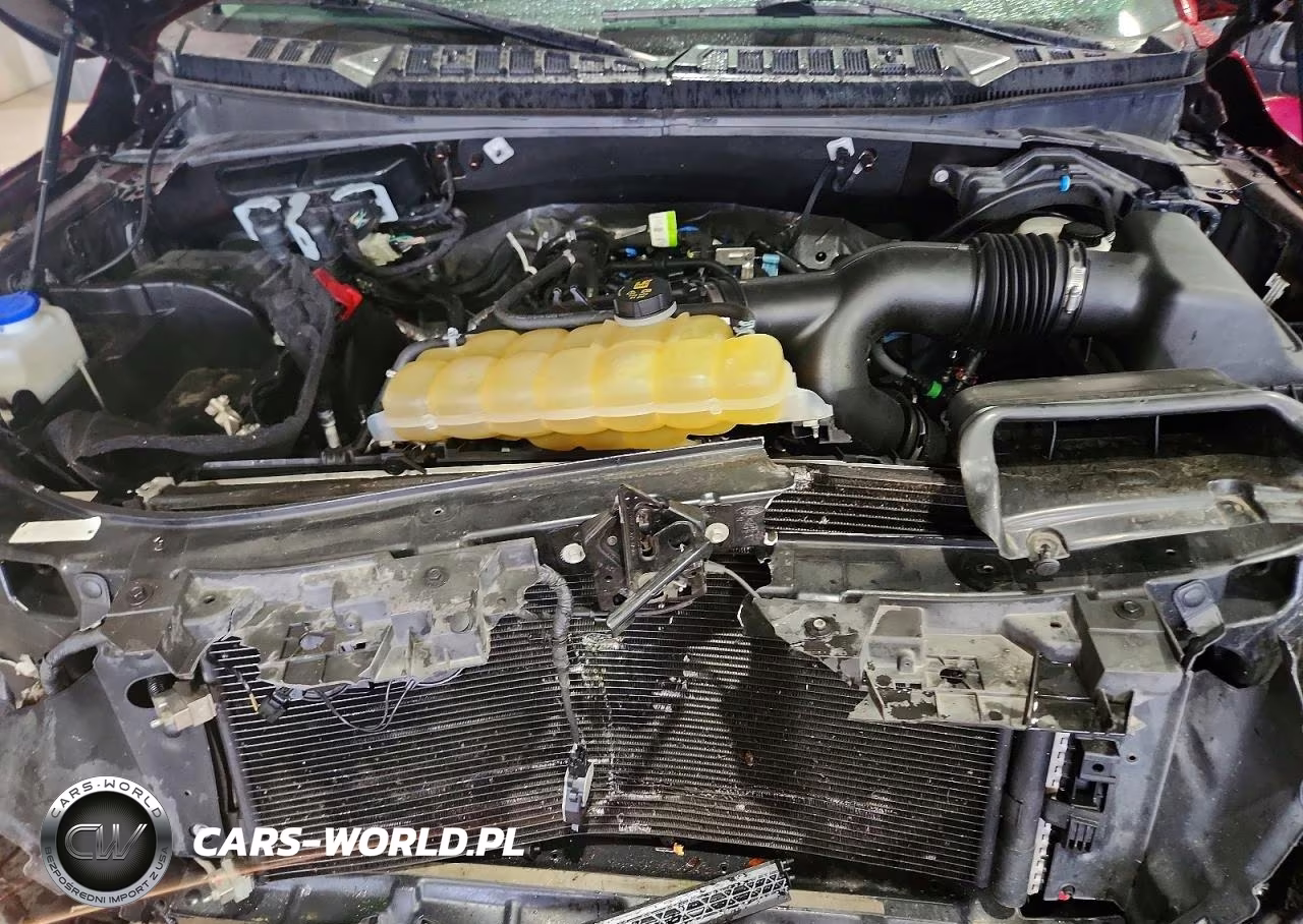 2019 Ford F150 Supercrew VIN:1FTEW1EP9KKF00181 - 11