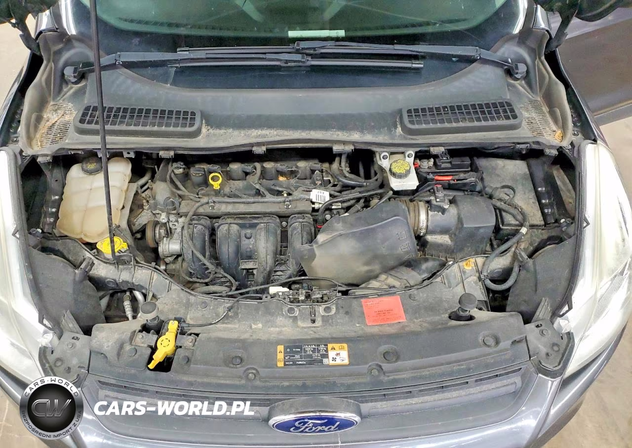 2016 Ford Escape S VIN:1FMCU0F75GUC65095 - 12