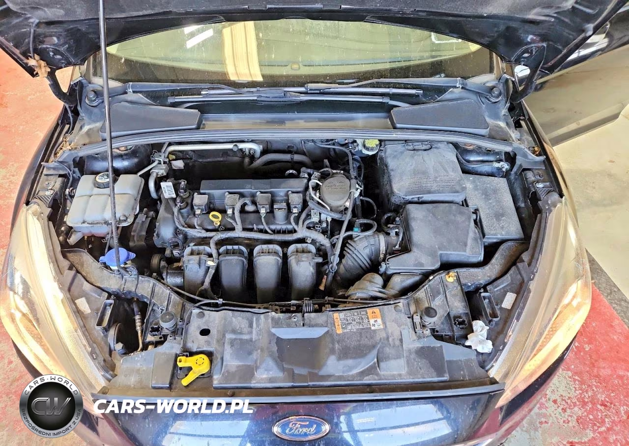 2016 Ford Focus Se VIN:1FADP3F24GL224653 - 11