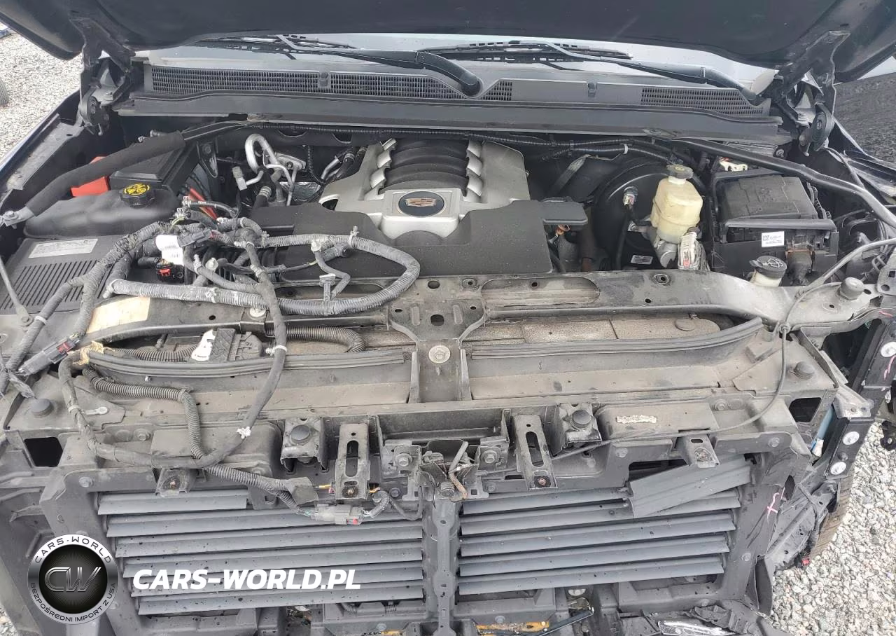 2020 Cadillac Escalade Esv VIN:1GYS4GKJ6LR210575 - 12