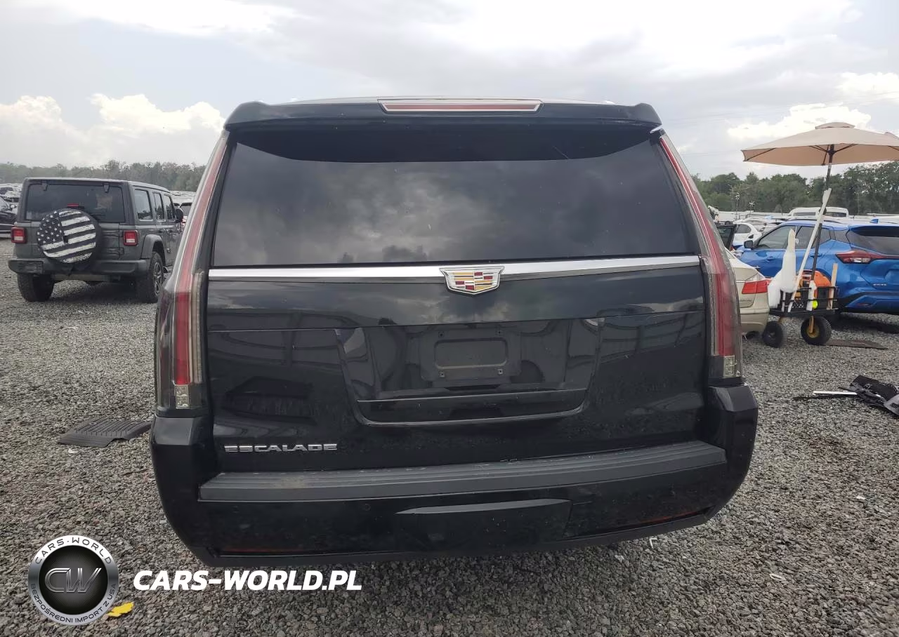 2020 Cadillac Escalade Esv VIN:1GYS4GKJ6LR210575 - 6