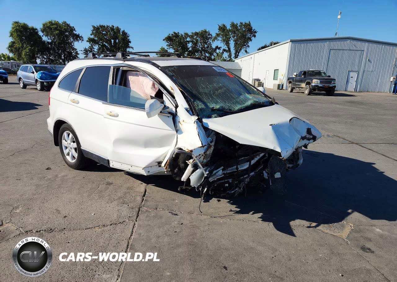 2009 Honda Cr-V Exl VIN:JHLRE38799C004266 - 4