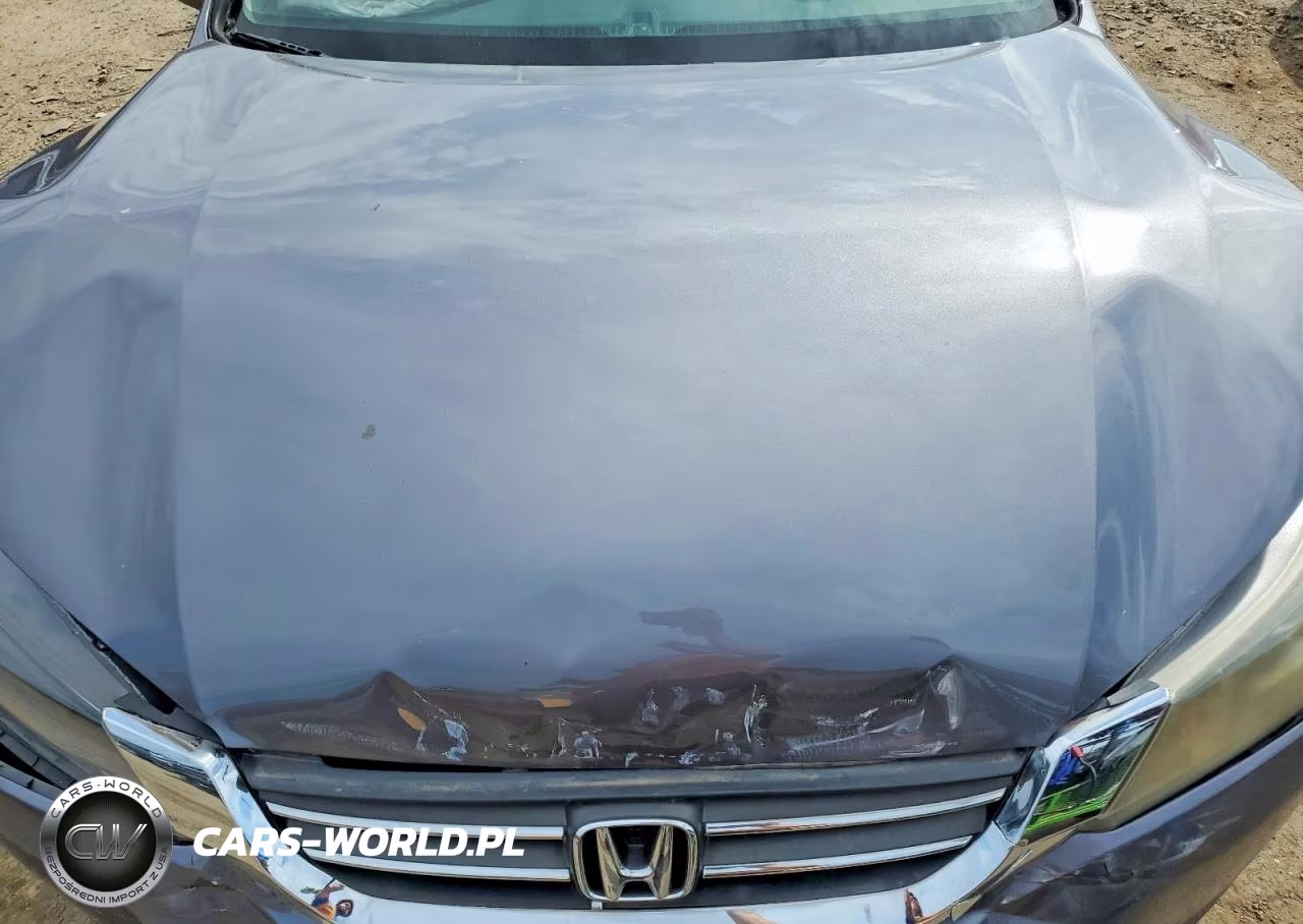 2013 Honda Accord Ex VIN:1HGCR2F79DA091564 - 11