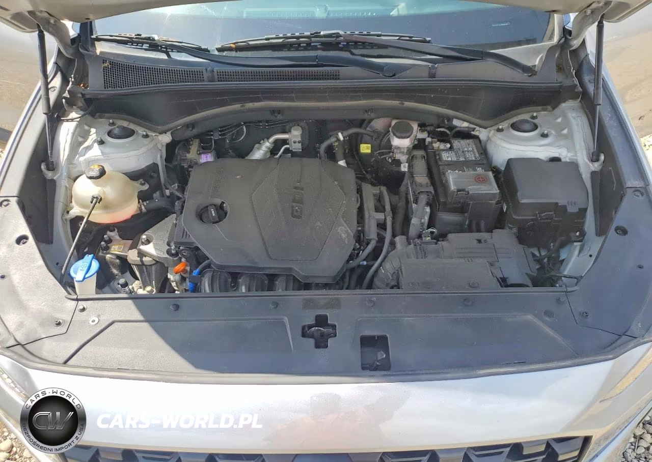 2023 Hyundai Santa Fe Sel VIN:5NMS24AJ4PH564262 - 12