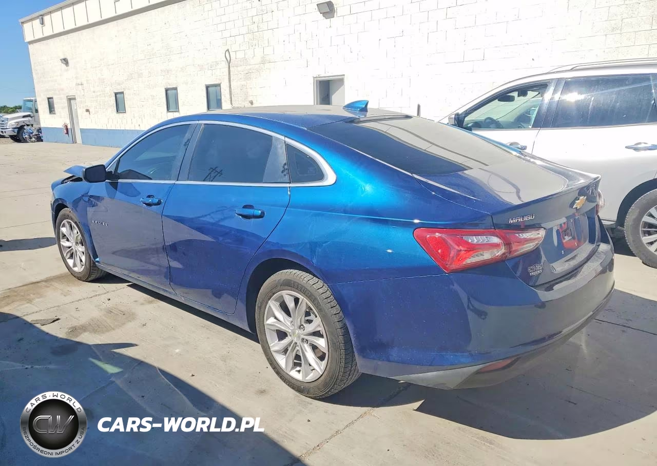2019 Chevrolet Malibu Lt VIN:1G1ZD5ST5KF172789 - 2