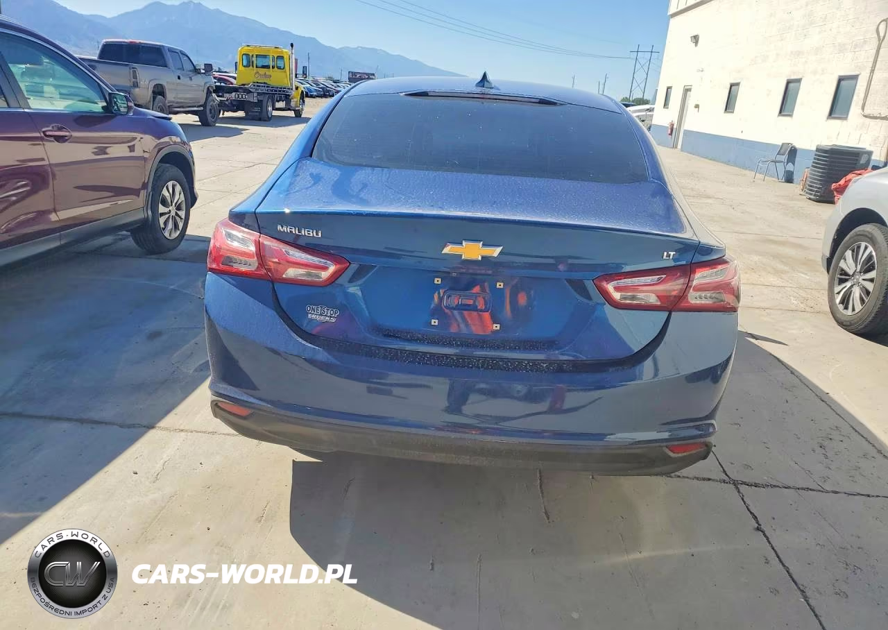 2019 Chevrolet Malibu Lt VIN:1G1ZD5ST5KF172789 - 6