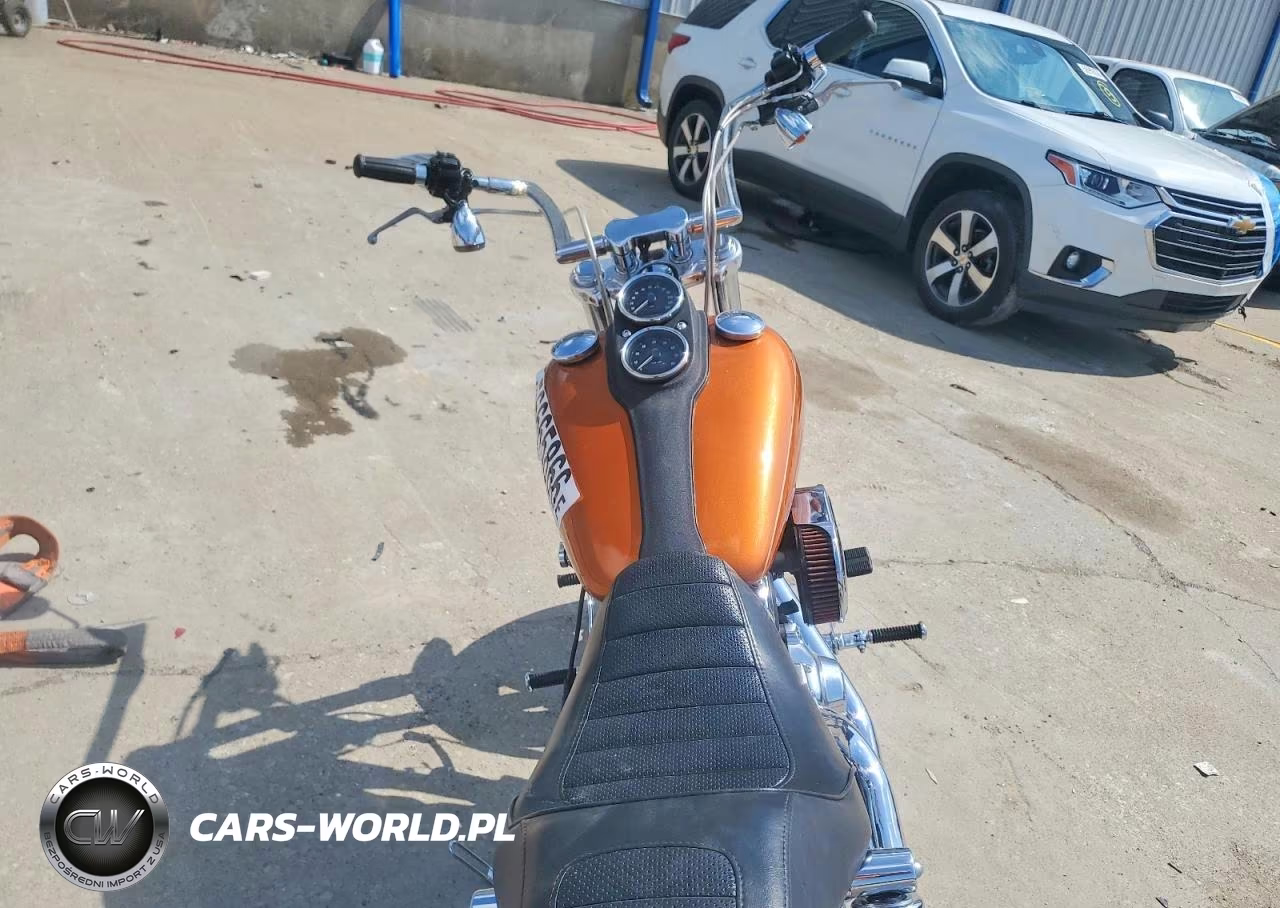 2015 Harley-Davidson Fxdl Dyna Low Rider VIN:1HD1GNM18FC325632 - 6