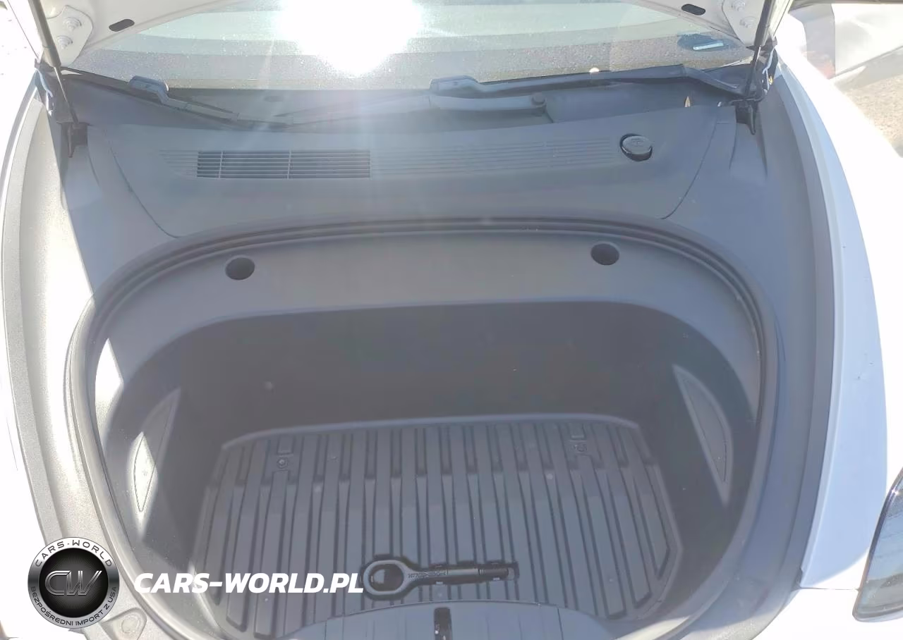 2021 Tesla Model 3 VIN:5YJ3E1EA9MF876949 - 11