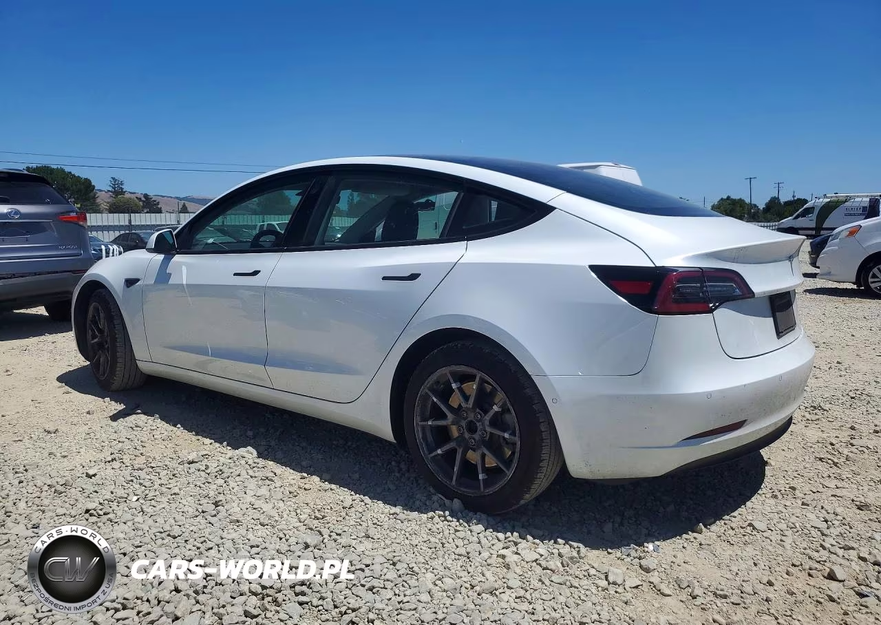 2021 Tesla Model 3 VIN:5YJ3E1EA9MF876949 - 2
