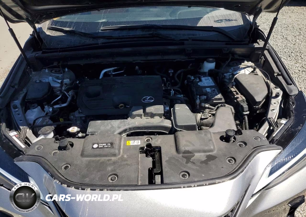 2024 Lexus Nx 250 Base VIN:2T2ADCAZ7RC008375 - 12