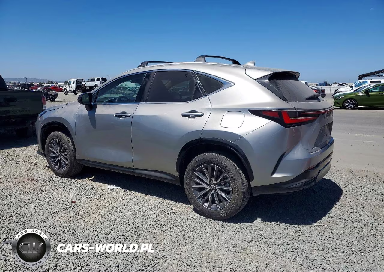 2024 Lexus Nx 250 Base VIN:2T2ADCAZ7RC008375 - 2