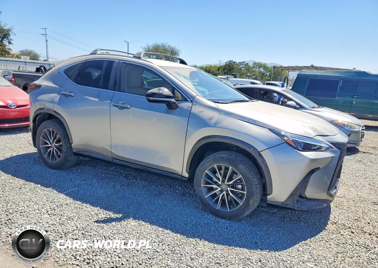 2024 Lexus Nx 250 Base VIN:2T2ADCAZ7RC008375 - 4