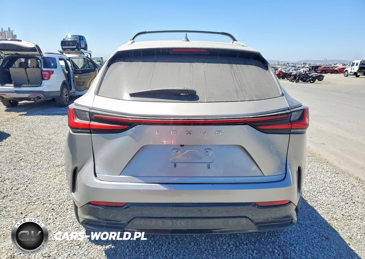 2024 Lexus Nx 250 Base VIN:2T2ADCAZ7RC008375 - 6