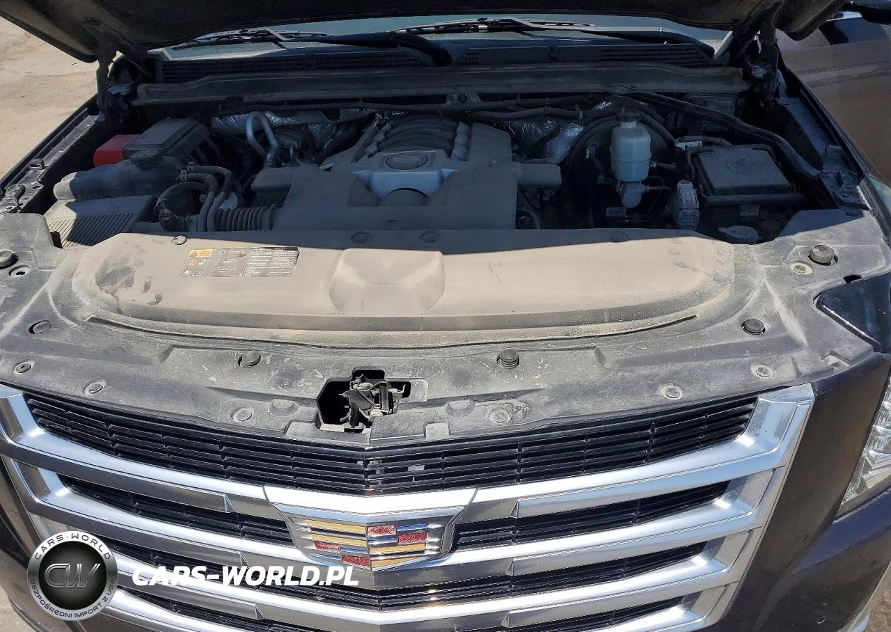 2015 Cadillac Escalade Esv Premium VIN:1GYS4TKJ1FR507573 - 12